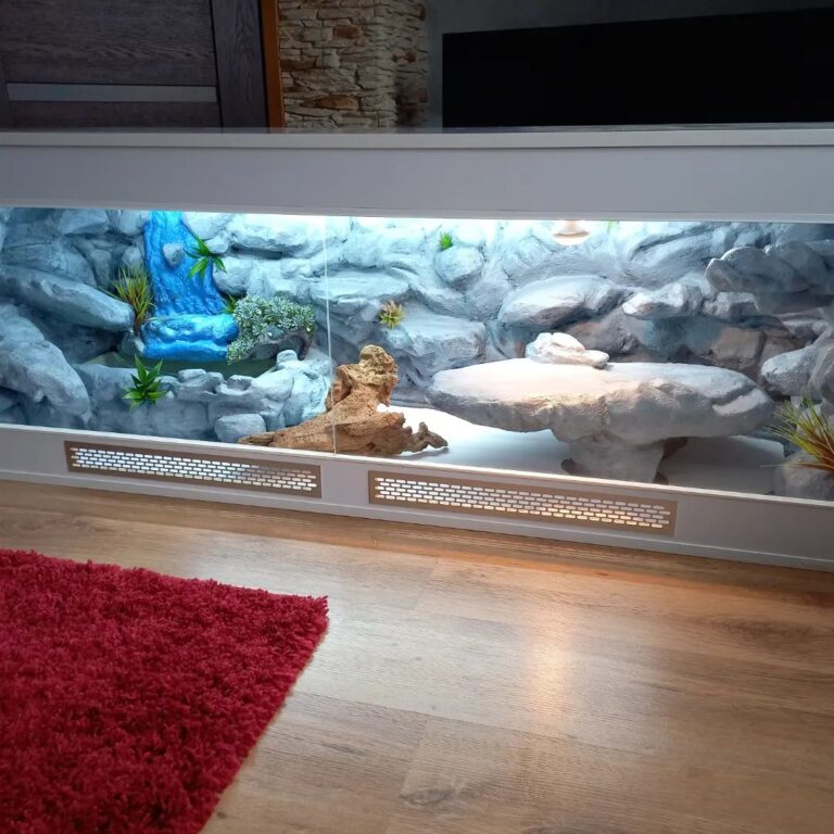 Terrarium dla agamy brodatej