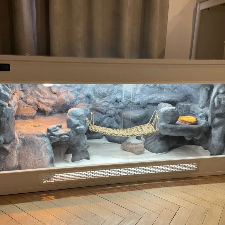 Terrarium dla agamy brodatej