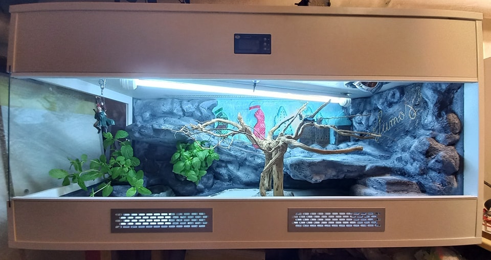 Terrarium Harry Potter