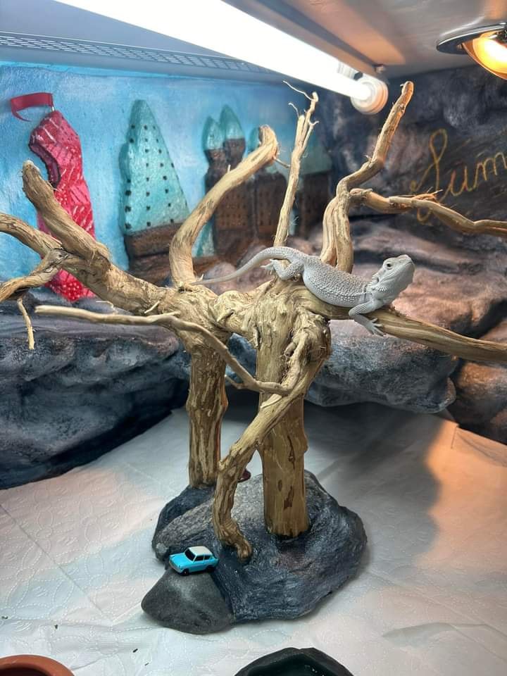 Terrarium Harry Potter bijąca wierzba